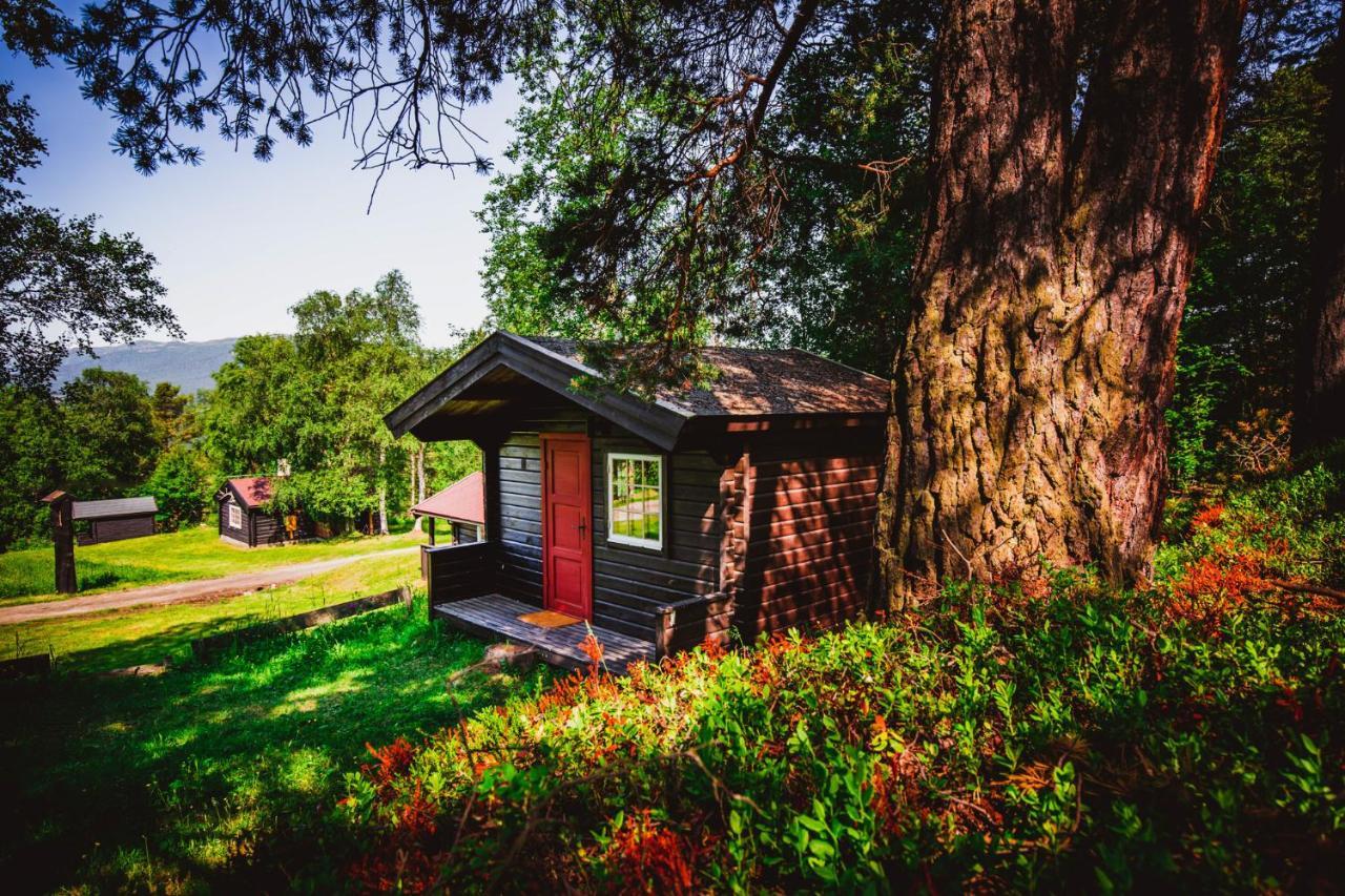 Ljoshaugen Camping Dombås Exteriör bild