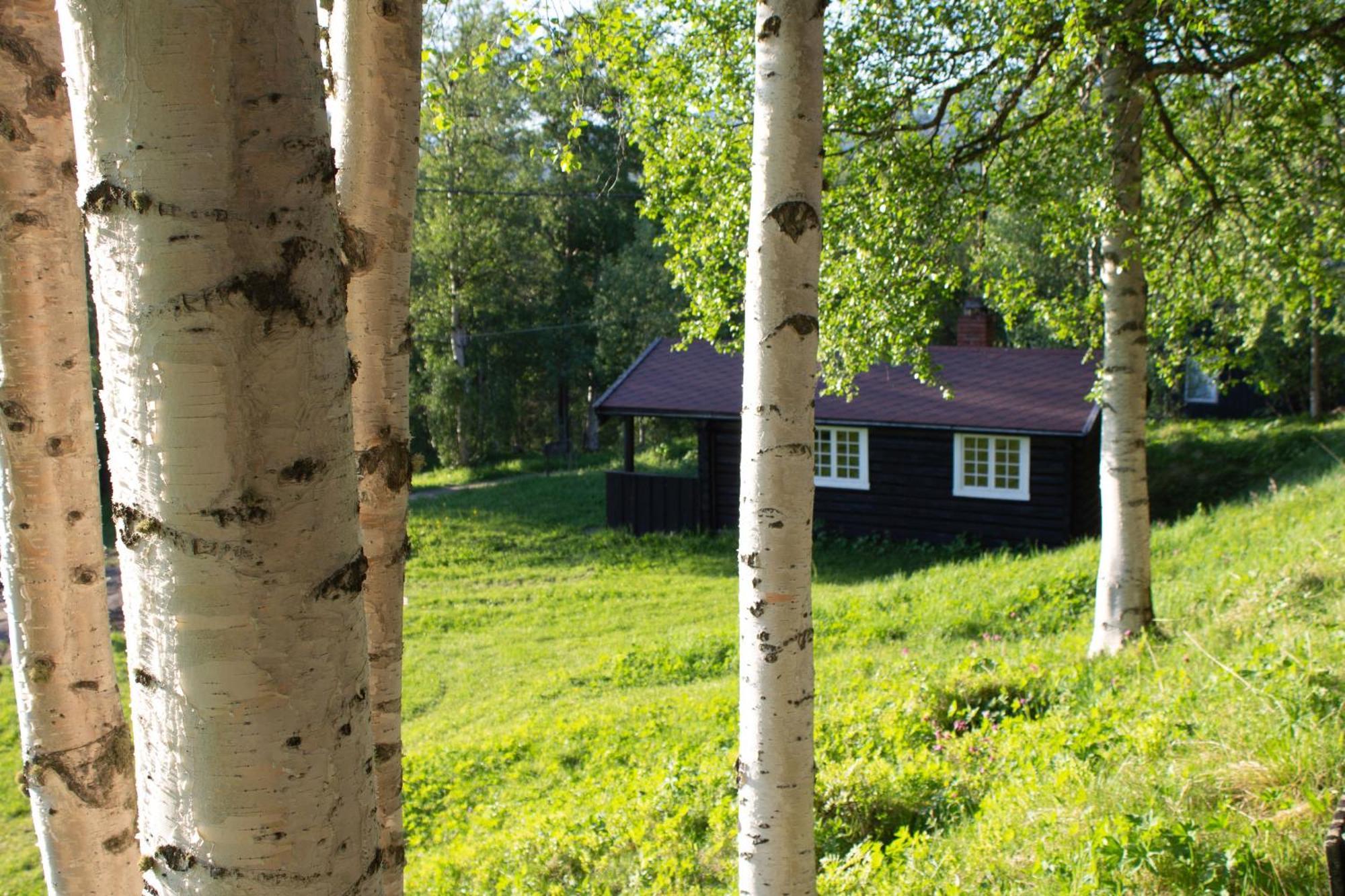 Ljoshaugen Camping Dombås Exteriör bild